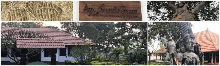 Sign for AvGreedaGram homestay and garden with lush greenery.